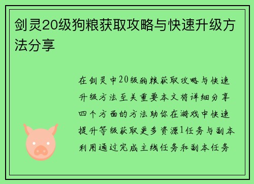 剑灵20级狗粮获取攻略与快速升级方法分享